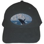 HUMPBACK 1 Black Cap