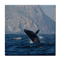 Humpback 1 Tile Coasters by trendistuff