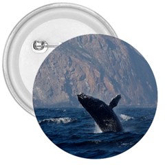 Humpback 1 3  Buttons by trendistuff