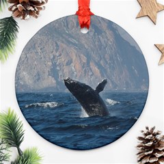 Humpback 1 Ornament (round) by trendistuff