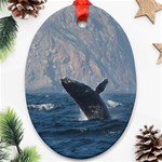 HUMPBACK 1 Ornament (Oval)