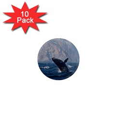 Humpback 1 1  Mini Magnet (10 Pack)  by trendistuff