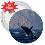 HUMPBACK 1 3  Buttons (10 pack) 