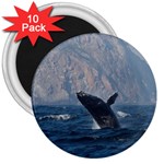 HUMPBACK 1 3  Magnets (10 pack) 