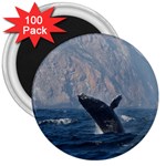 HUMPBACK 1 3  Magnets (100 pack)