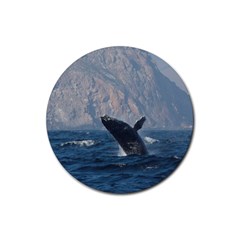 Humpback 1 Rubber Coaster (round)  by trendistuff