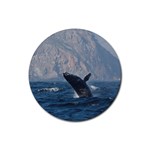 HUMPBACK 1 Rubber Coaster (Round) 