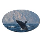 HUMPBACK 1 Oval Magnet