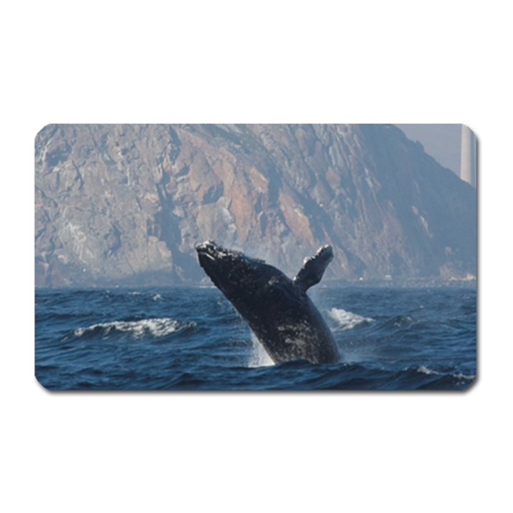 HUMPBACK 1 Magnet (Rectangular)