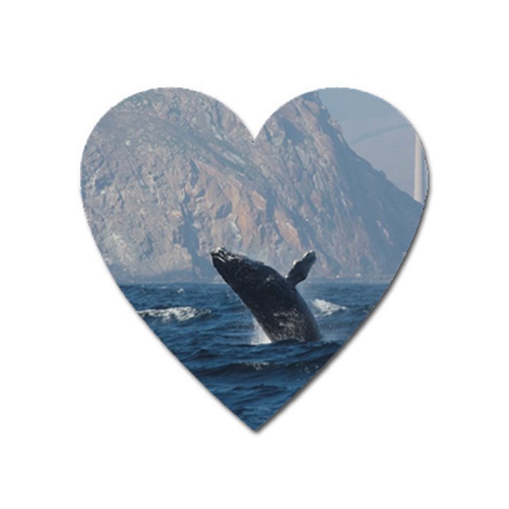 HUMPBACK 1 Heart Magnet