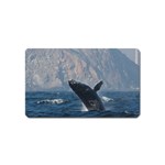 HUMPBACK 1 Magnet (Name Card)