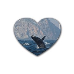 Humpback 1 Heart Coaster (4 Pack)  by trendistuff