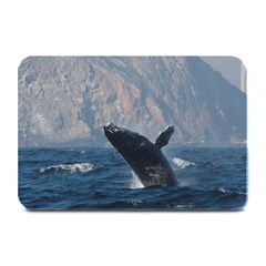 Humpback 1 Plate Mats by trendistuff