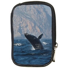 Humpback 1 Compact Camera Cases by trendistuff