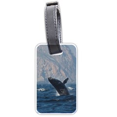 Humpback 1 Luggage Tags (one Side)  by trendistuff