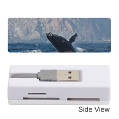 Humpback 1 Memory Card Reader (stick)  by trendistuff