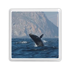 Humpback 1 Memory Card Reader (square)  by trendistuff