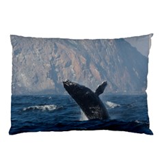 Humpback 1 Pillow Case (two Sides) by trendistuff