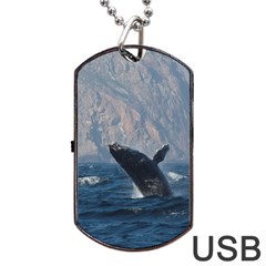 Humpback 1 Dog Tag Usb Flash (two Sides) by trendistuff