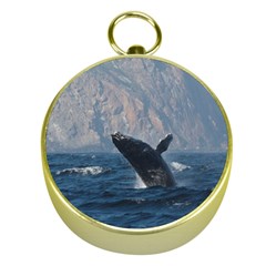 Humpback 1 Gold Compasses by trendistuff