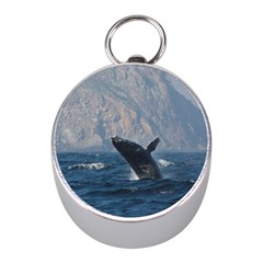 Humpback 1 Mini Silver Compasses by trendistuff