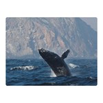 HUMPBACK 1 Double Sided Flano Blanket (Mini) 