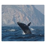 HUMPBACK 1 Double Sided Flano Blanket (Small) 