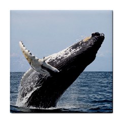 Humpback 2 Tile Coasters by trendistuff