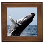 HUMPBACK 2 Framed Tiles