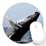 HUMPBACK 2 Round Mousepads