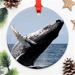 HUMPBACK 2 Ornament (Round)