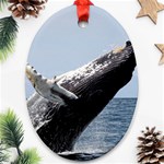 HUMPBACK 2 Ornament (Oval)