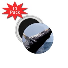 Humpback 2 1 75  Magnets (10 Pack)  by trendistuff