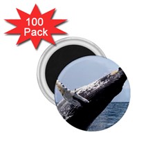 Humpback 2 1 75  Magnets (100 Pack)  by trendistuff