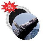 HUMPBACK 2 2.25  Magnets (10 pack) 