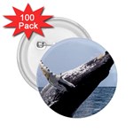 HUMPBACK 2 2.25  Buttons (100 pack) 