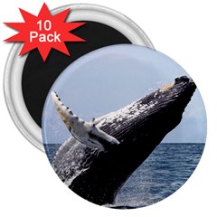 Humpback 2 3  Magnets (10 Pack)  by trendistuff