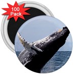 HUMPBACK 2 3  Magnets (100 pack)