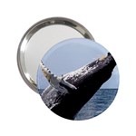 HUMPBACK 2 2.25  Handbag Mirrors