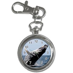 Humpback 2 Key Chain Watches by trendistuff