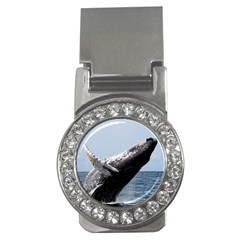 Humpback 2 Money Clips (cz)  by trendistuff