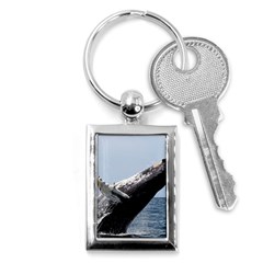 Humpback 2 Key Chains (rectangle)  by trendistuff