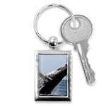 HUMPBACK 2 Key Chains (Rectangle) 