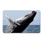 HUMPBACK 2 Magnet (Rectangular)