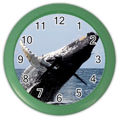 Humpback 2 Color Wall Clocks by trendistuff