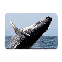 Humpback 2 Small Doormat  by trendistuff