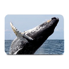 Humpback 2 Plate Mats by trendistuff