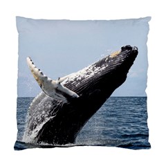 Humpback 2 Standard Cushion Case (two Sides) by trendistuff