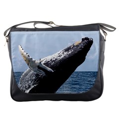 Humpback 2 Messenger Bags by trendistuff