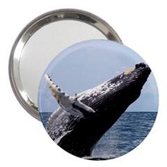 Humpback 2 3  Handbag Mirrors by trendistuff